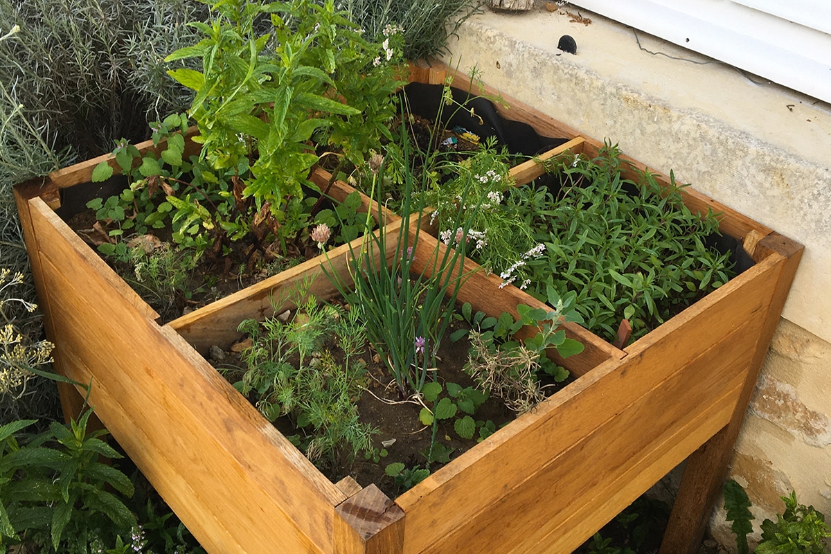 potager bac aromatique