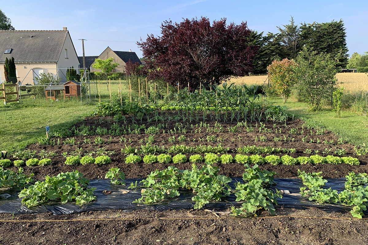 Votre potager dans votre jardin - Jardin Bleu - Création-Entretien-Elagage